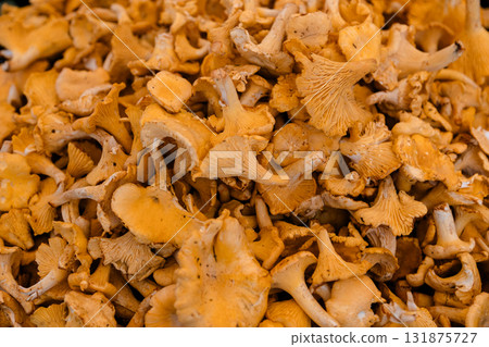 Fresh chanterelle mushrooms stacked in a pile at a market stall, symbolizing forest harvest, organic 131875727