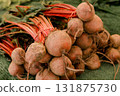 Fresh red beets with stems tied together in bunches at a market stall, symbolizing organic farming 131875730