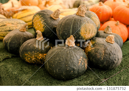 Fresh green pumpkins stacked in a pile at a market stall, symbolizing seasonal harvest, organic 131875732