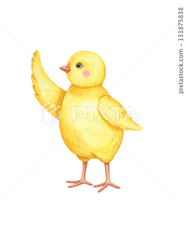 Watercolor illustration of a chick Watercolor illustration of a chick 131875838