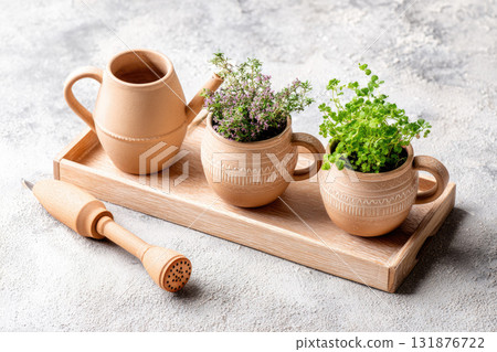 Terracotta pots with fresh herbs, wooden watering can, and wooden tray arranged on light textured surface, creating cozy and natural atmosphere for indoor gardening Terracotta pots with fresh herbs, wooden watering can, and wooden tray arranged on light textured surface, creating cozy and natural atmosphere for indoor gardening 131876722