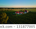 Small family winery and vineyard estate in countryside at sunset 131877005