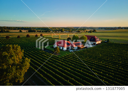 Small family winery and vineyard estate in countryside at sunset 131877005