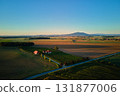 Vineyard farmhouse surrounded by fields at sunrise 131877006