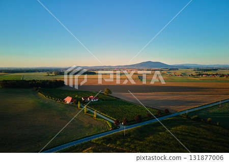 Vineyard farmhouse surrounded by fields at sunrise 131877006