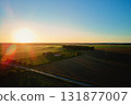 Winery with rows of vineyard and farmhouse at sunset 131877007