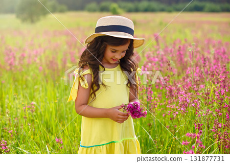 beautiful little girl walks in a flowering field, holds a bouquet of burgundy viscaria flowers 131877731