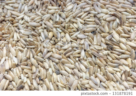 Close up photo of milk thistle. Close up photo of milk thistle. 131878191