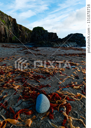 Early morning on Sheep Cove, Ireland. A single blue rock sits on a dark sand beach covered in seaweed. A rocky cliff rises in the background under a partly cloudy sky. 131878716