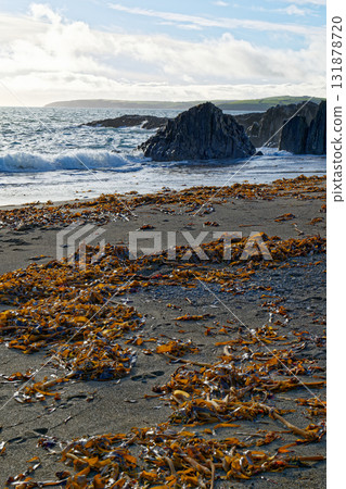 Coastal beauty captured with seaweed textures in the foreground, complemented by cliffs and the calming sea in the background. Coastal beauty captured with seaweed textures in the foreground, complemented by cliffs and the calming sea in the background. 131878720