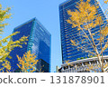 Autumn buildings in Umeda, Osaka (Kita-ku, Osaka City, Osaka Prefecture) 131878901