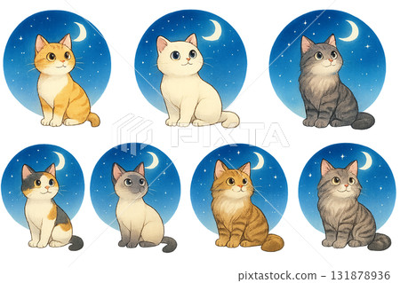 一隻貓坐著看夜空的插畫集 131878936