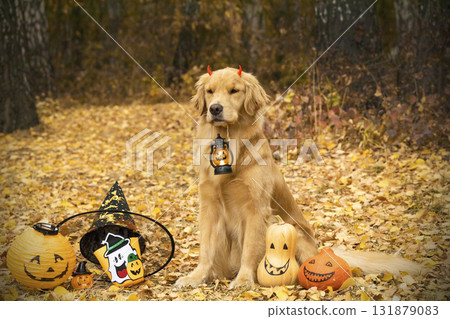 Adorable golden retriever puppy lying down on a soft surface with a blurred green background. Perfect image for themes of pets, childhood, and cuteness. 131879083