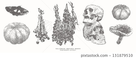 Halloween vector illustration collection. Trendy stippling photocopy effect 131879510