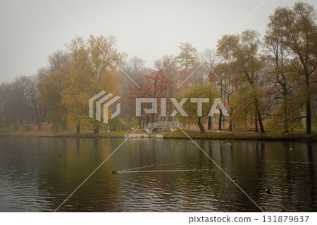 Rainy and foggy autumn park. Gatchina Rainy and foggy autumn park. Gatchina 131879637