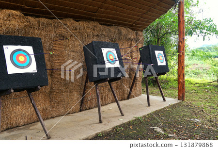 An archery target with arrows stuck behind a haystack in an outdoor field surrounded by nature. 131879868