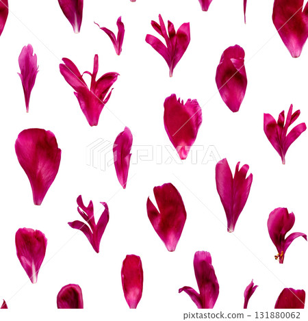 Seamless pattern with scattered red peony petals on white background Seamless pattern with scattered red peony petals on white background 131880062