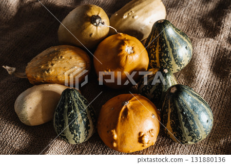 Yellow and Green Mini Decorative Pumpkins 131880136