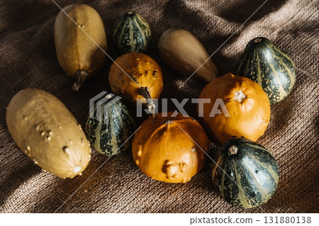 Yellow and Green Mini Decorative Pumpkins 131880138