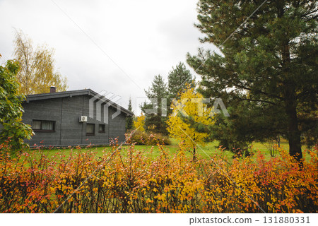 Autumn landscape of the mountains with beautyfully colored forest, ever green pine trees and a stormy sky Autumn landscape of the mountains with beautyfully colored forest, ever green pine trees and a stormy sky 131880331