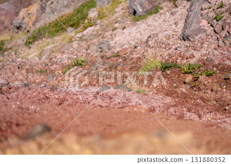 阿蘇山的紅土 阿蘇山的紅土 131880352