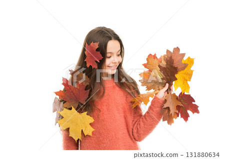 Nature changing color. Seasons concept. Fall season. Kid with fallen leaves white background. Happy small girl maple leaves. Autumn pleasures. Cozy days. Childhood happiness. Collecting autumn leaves 131880634
