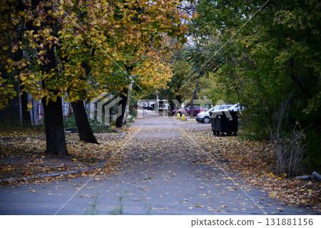 Beautiful autumn landscape with. Colorful foliage in the park. Falling leaves natural Beautiful autumn landscape with. Colorful foliage in the park. Falling leaves natural 131881156