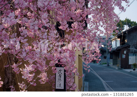 Cherry blossoms blooming in the city along the Hokkoku Kaido Cherry blossoms blooming in the city along the Hokkoku Kaido 131881265