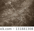 Hummingbirds in the Nazca Lines, Peru, South America 131881308
