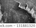 Hummingbirds in the Nazca Lines, Peru, South America 131881320