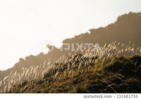 Silver grass illuminated by the morning sun on Mount Aso Silver grass illuminated by the morning sun on Mount Aso 131881738