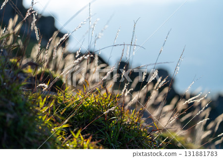 鈴木在山上 鈴木在山上 131881783