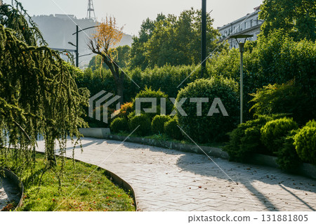 Peaceful morning stroll through a lush urban park with greenery and gentle sunlight near city buildings Peaceful morning stroll through a lush urban park with greenery and gentle sunlight near city buildings 131881805