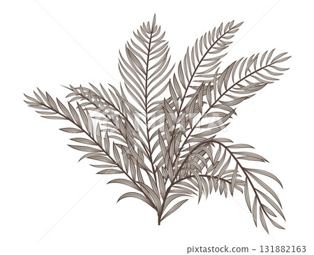 Illustration with a bush isolated on a white background in vector Illustration with a bush isolated on a white background in vector 131882163