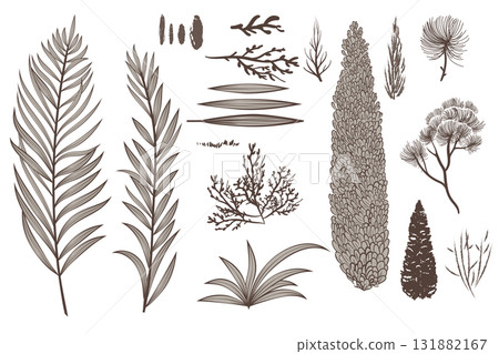 Set of bushes and branches for brushes in vector for creating landscapes Set of bushes and branches for brushes in vector for creating landscapes 131882167