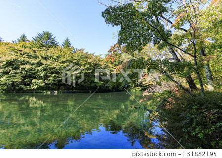 Autumn leaves reflected in the pond (Kumoba Pond in Kyu-Karuizawa) Autumn leaves reflected in the pond (Kumoba Pond in Kyu-Karuizawa) 131882195