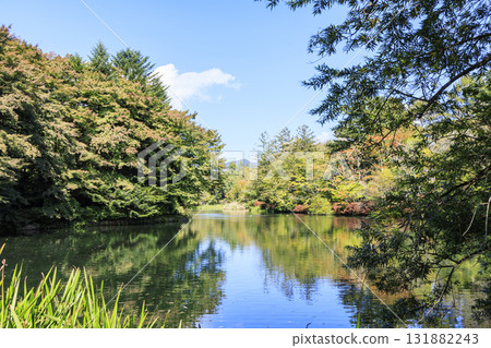 Autumn leaves reflected in the pond (Kumoba Pond in Kyu-Karuizawa) Autumn leaves reflected in the pond (Kumoba Pond in Kyu-Karuizawa) 131882243