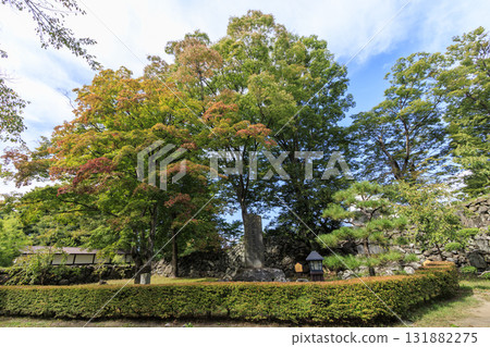 小諸城小諸城遺址花園(又稱懷古園)的秋天 小諸城小諸城遺址花園(又稱懷古園)的秋天 131882275