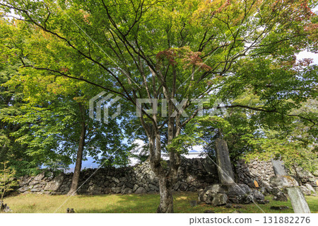 小諸城小諸城遺址花園（又稱懷古園）的秋天 131882276