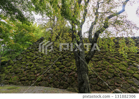 Autumn at Komoro Castle Ruins Garden (also known as Kaikoen) in Komoro City Autumn at Komoro Castle Ruins Garden (also known as Kaikoen) in Komoro City 131882306