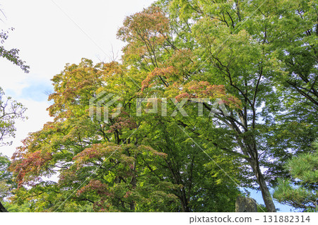 Autumn at Komoro Castle Ruins Garden (also known as Kaikoen) in Komoro City Autumn at Komoro Castle Ruins Garden (also known as Kaikoen) in Komoro City 131882314