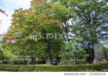 小諸城小諸城遺址花園(又稱懷古園)的秋天 小諸城小諸城遺址花園(又稱懷古園)的秋天 131882316