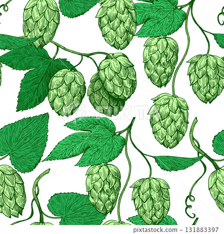 Seamless pattern with hop cones in vintage...-插圖素材 [131883397] - PIXTA圖庫