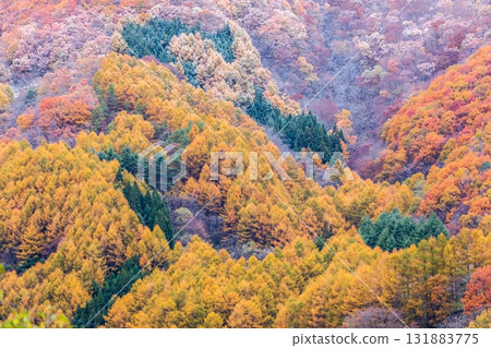 Beautiful autumn scenery in Kuzumaki Town, Iwate Prefecture 131883775