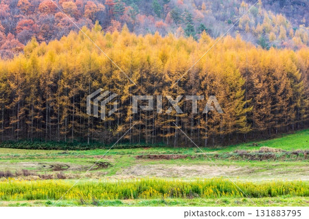 Beautiful autumn scenery in Kuzumaki Town, Iwate Prefecture Beautiful autumn scenery in Kuzumaki Town, Iwate Prefecture 131883795