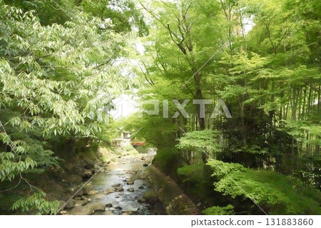 A quiet river flowing through the dappled sunlight A quiet river flowing through the dappled sunlight 131883860