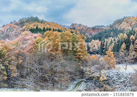 "Iwate Prefecture" Autumn leaves and snow scenery in Kuzumaki Town "Iwate Prefecture" Autumn leaves and snow scenery in Kuzumaki Town 131883879
