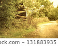 rural road in the forest 131883935