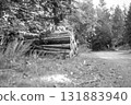old abandoned bench in the woods 131883940