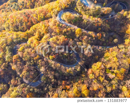 Aerial view of Irohazaka in Nikko, Tochigi Prefecture, dyed in autumn colors by the autumn leaves 131883977